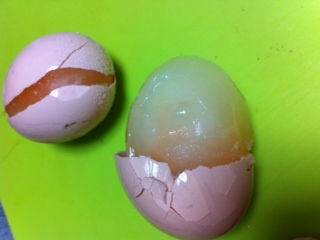 ショック 生卵を冷凍庫に保存していた Cafe Cajjo カフェカジョ Cafecajjo