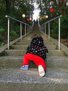 神社の階段を登る.jpg
